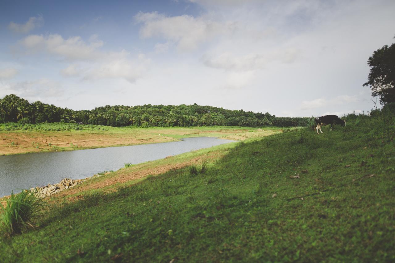 Riverine Springs Wadakkanchery Екстер'єр фото
